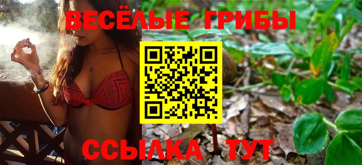 Новочеркасск  Псилоцибиновые грибы ЛСД  дарнет шоп  Вход с VPN 