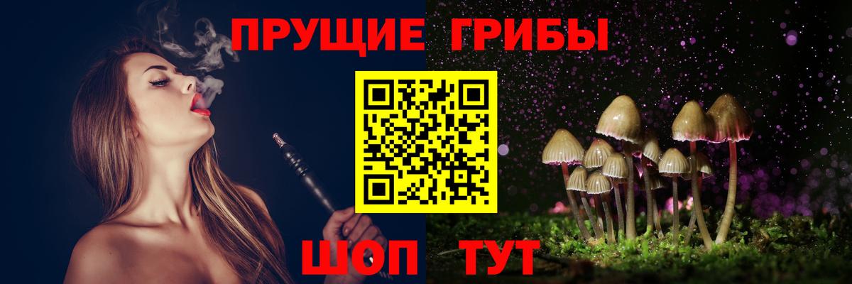 Псилоцибиновые грибы Cubensis Новочеркасск